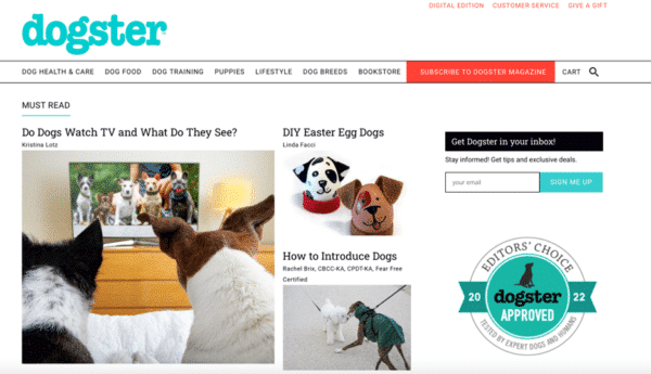 How Dogster website looks now