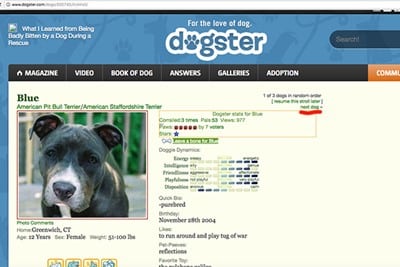 What the Pet Profile Pages on Dogster used to look like
