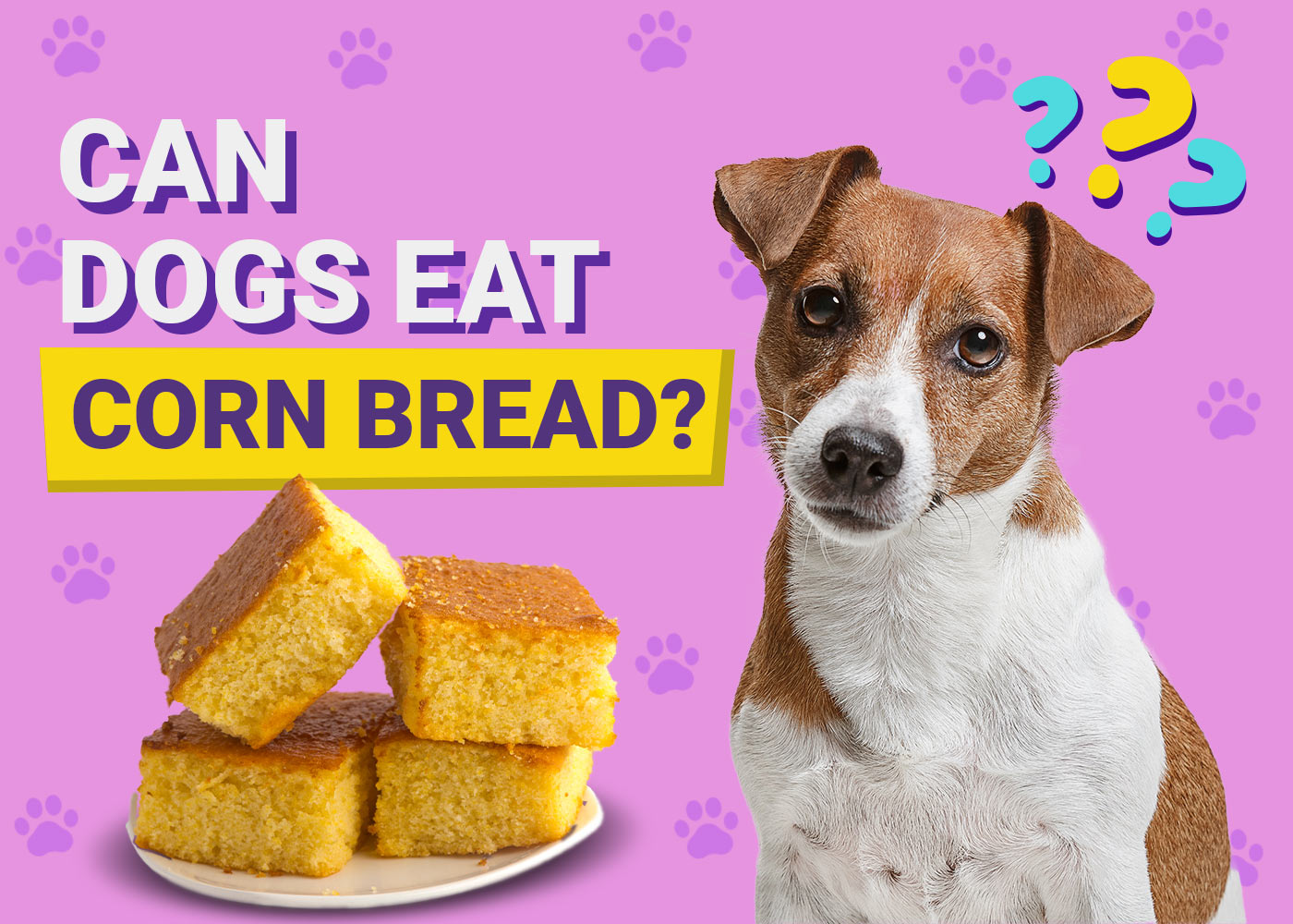 Can Dogs Eat Cornbread