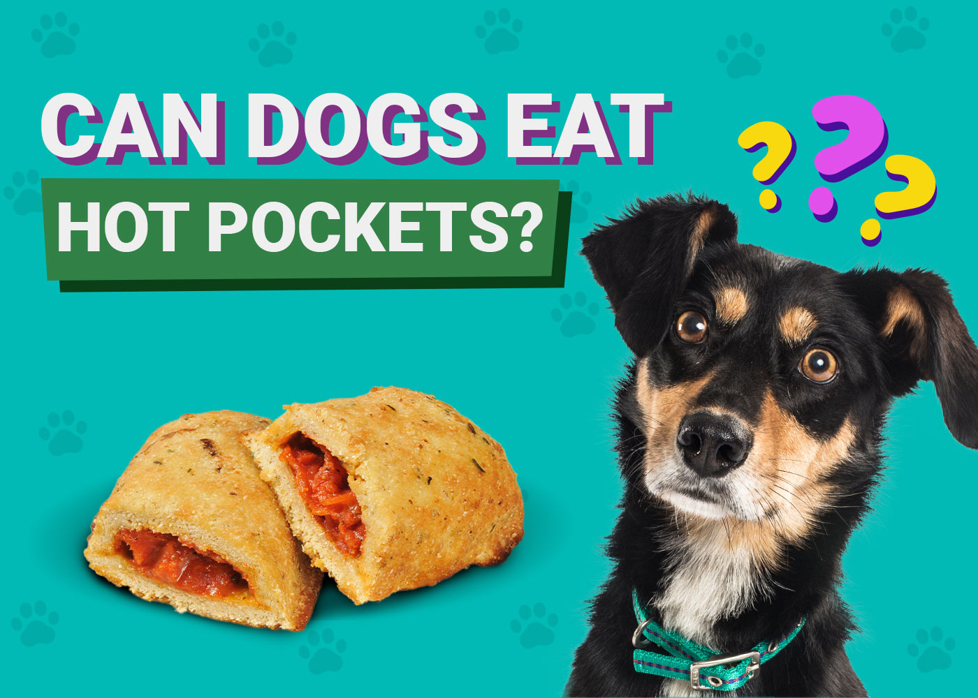 Can Dogs Eat Hot Pockets