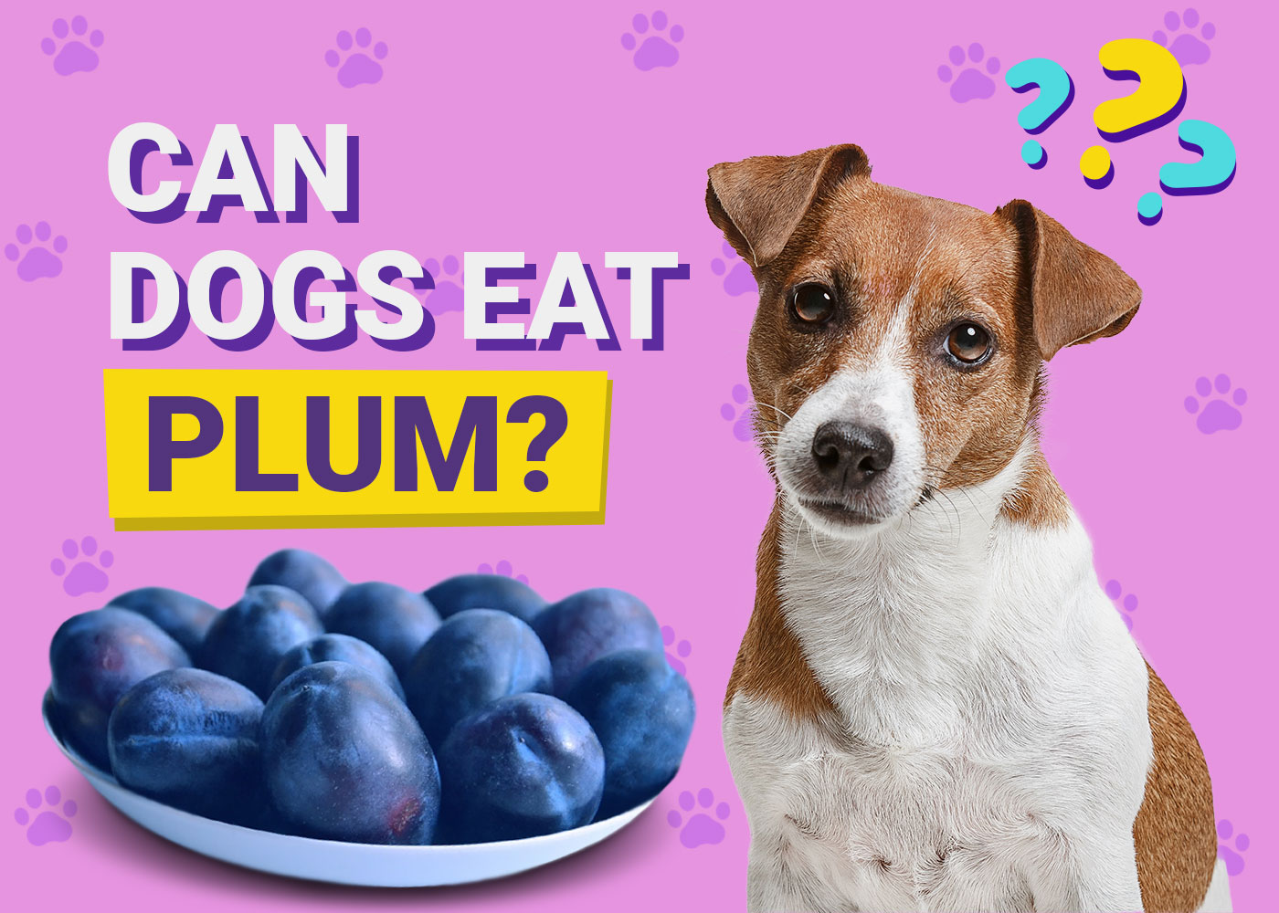 Can Dogs Eat Plums