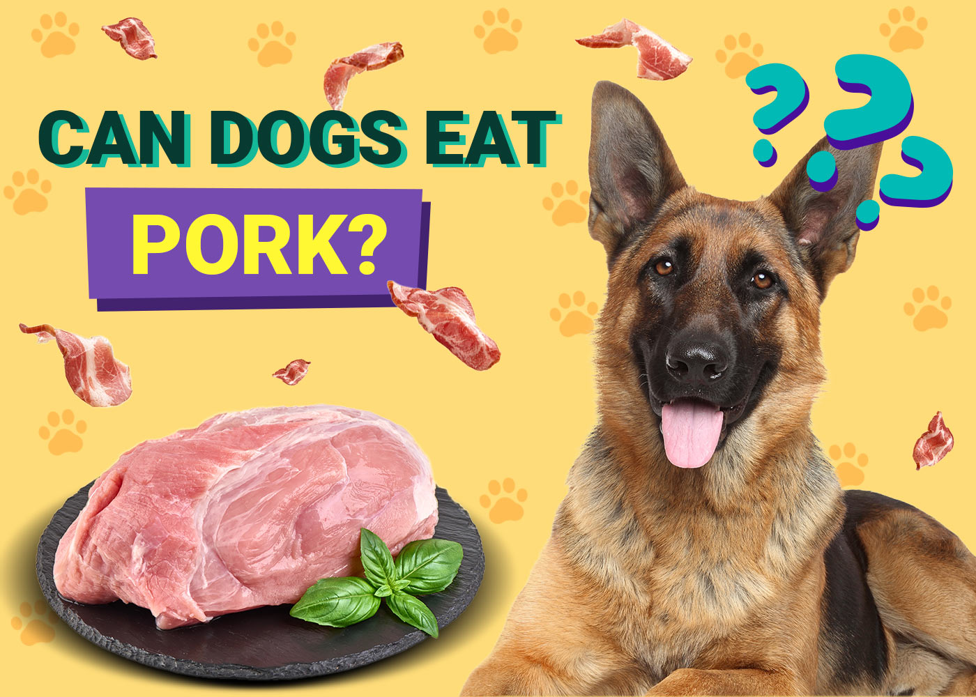 Can Dogs Eat Pork