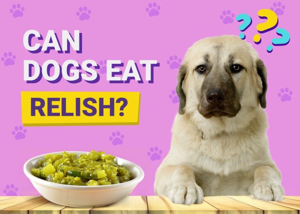 Can Dogs Eat Relish