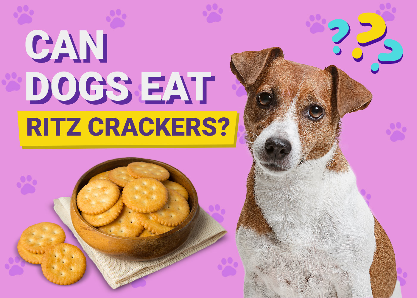 Can Dogs Eat Ritz Crackers