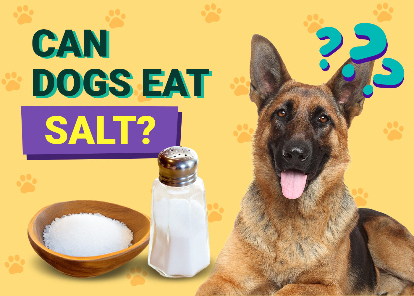 Can Dogs Eat Salt