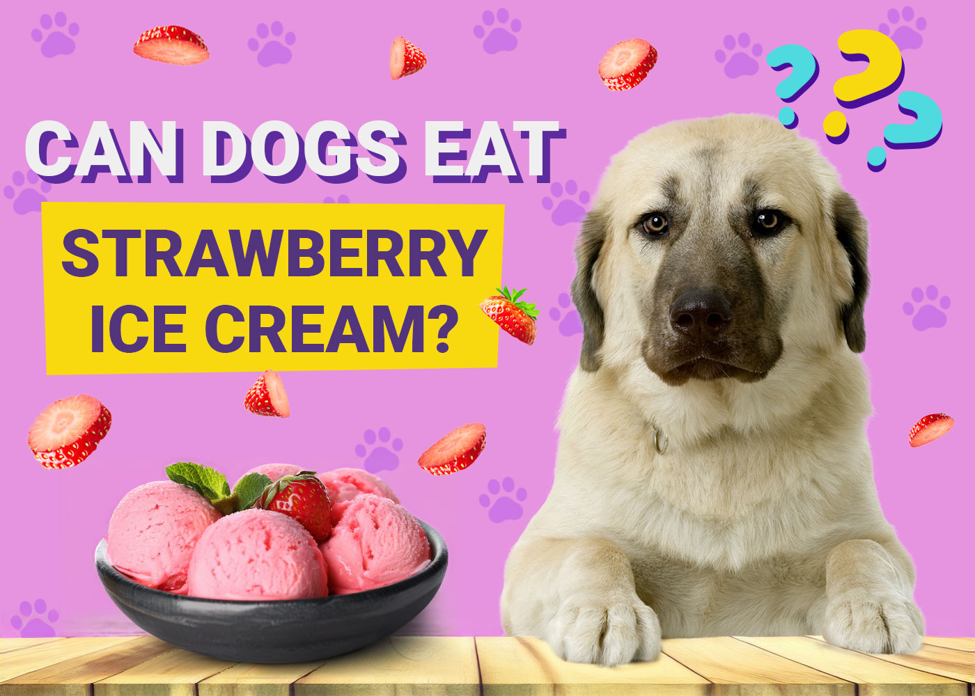 Can Dogs Eat Strawberry Ice Cream