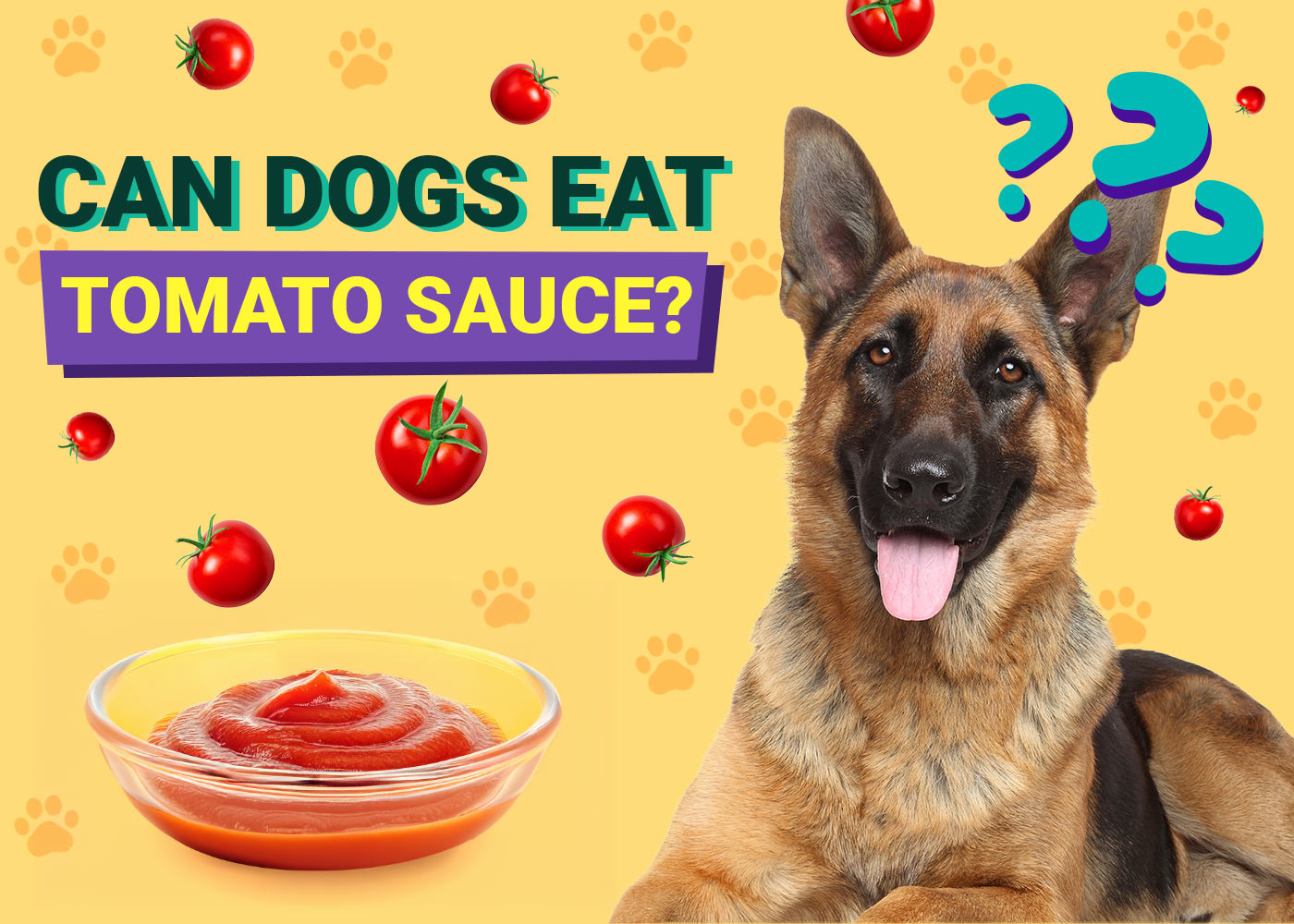 Can Dogs Eat Tomato Sauce