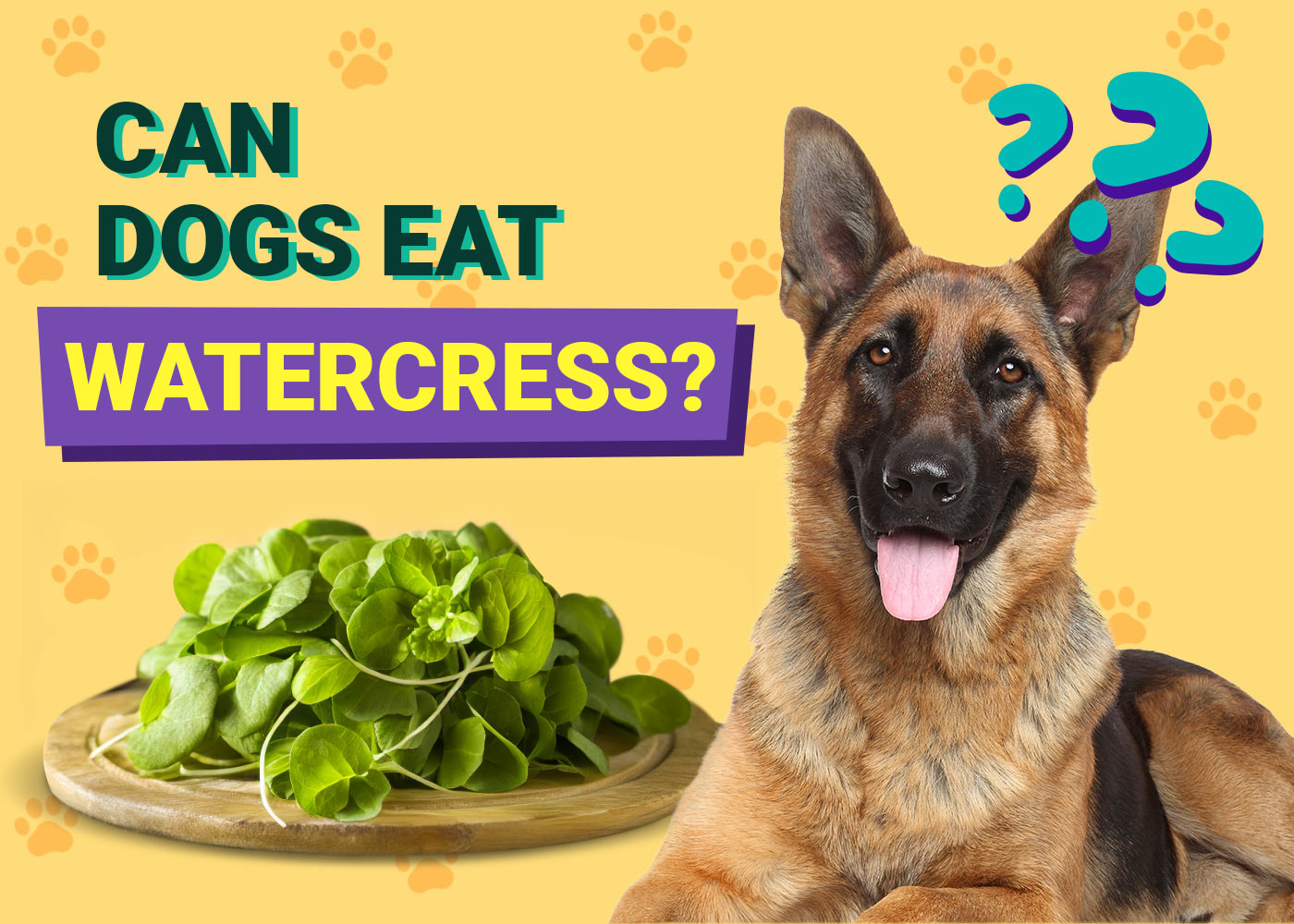 Can Dogs Eat Watercress