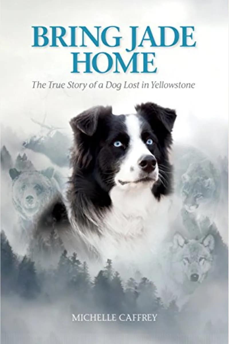 Bring Jade Home The True Story of a Dog Lost in Yellowstone and the People Who Searched for Her