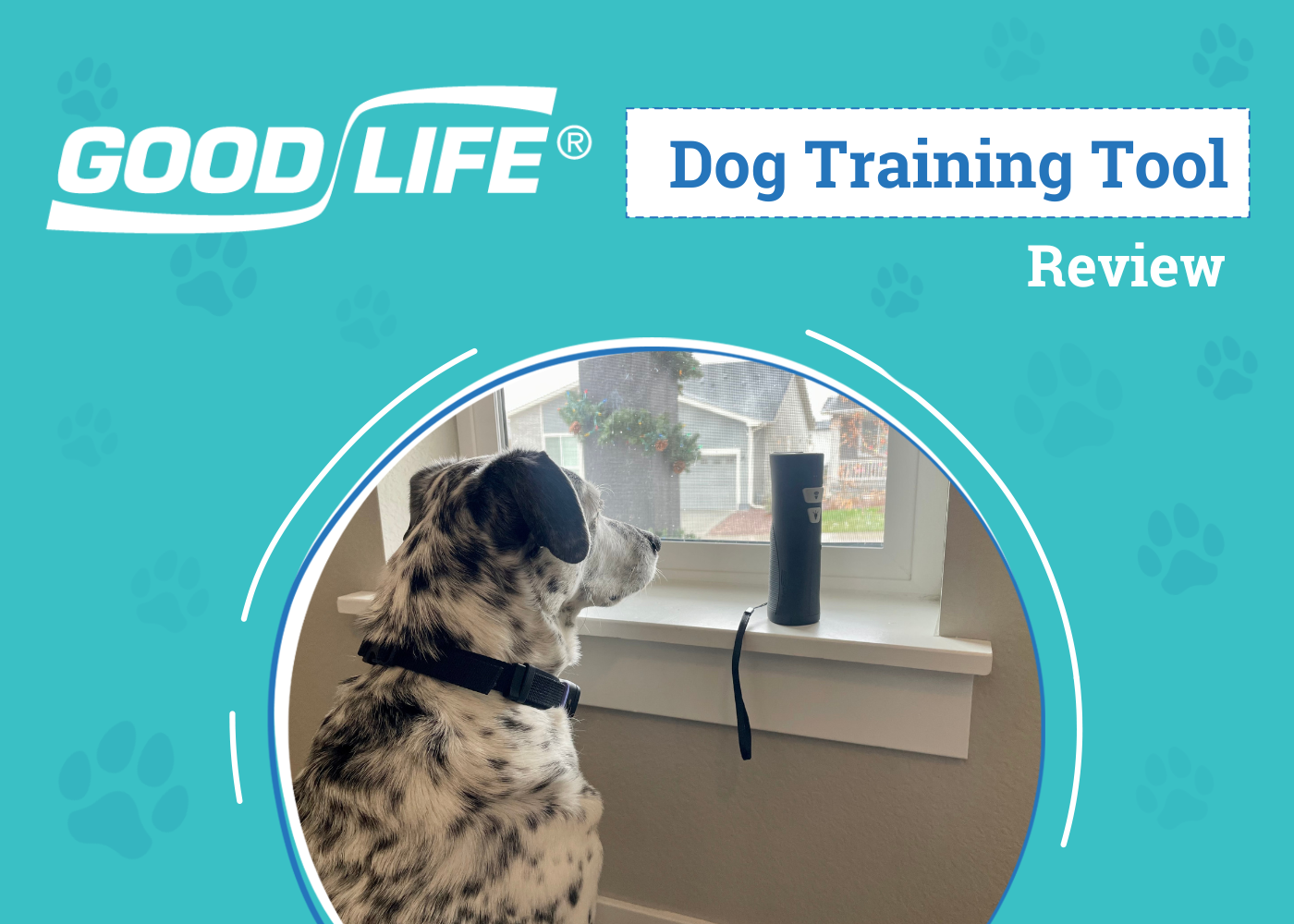 DOG_SAPR_Good Life Dog Training Tool