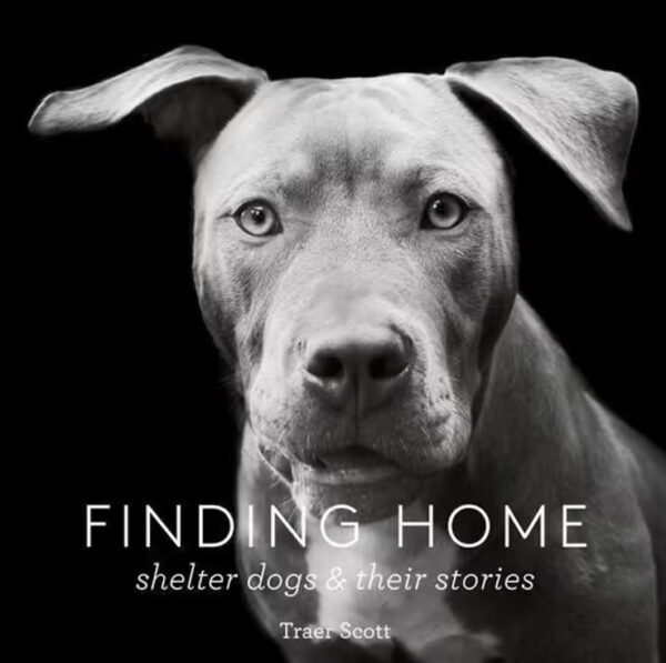 Finding Home Shelter Dogs and Their Story Book