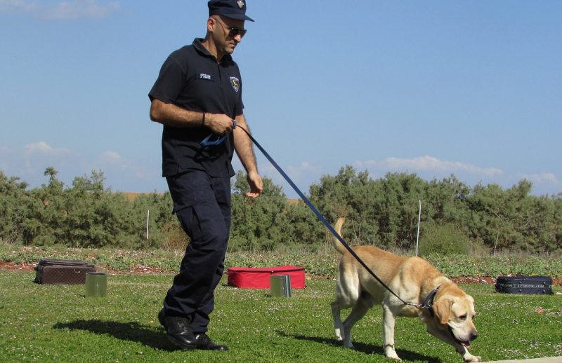 police and k9 dog on the field training