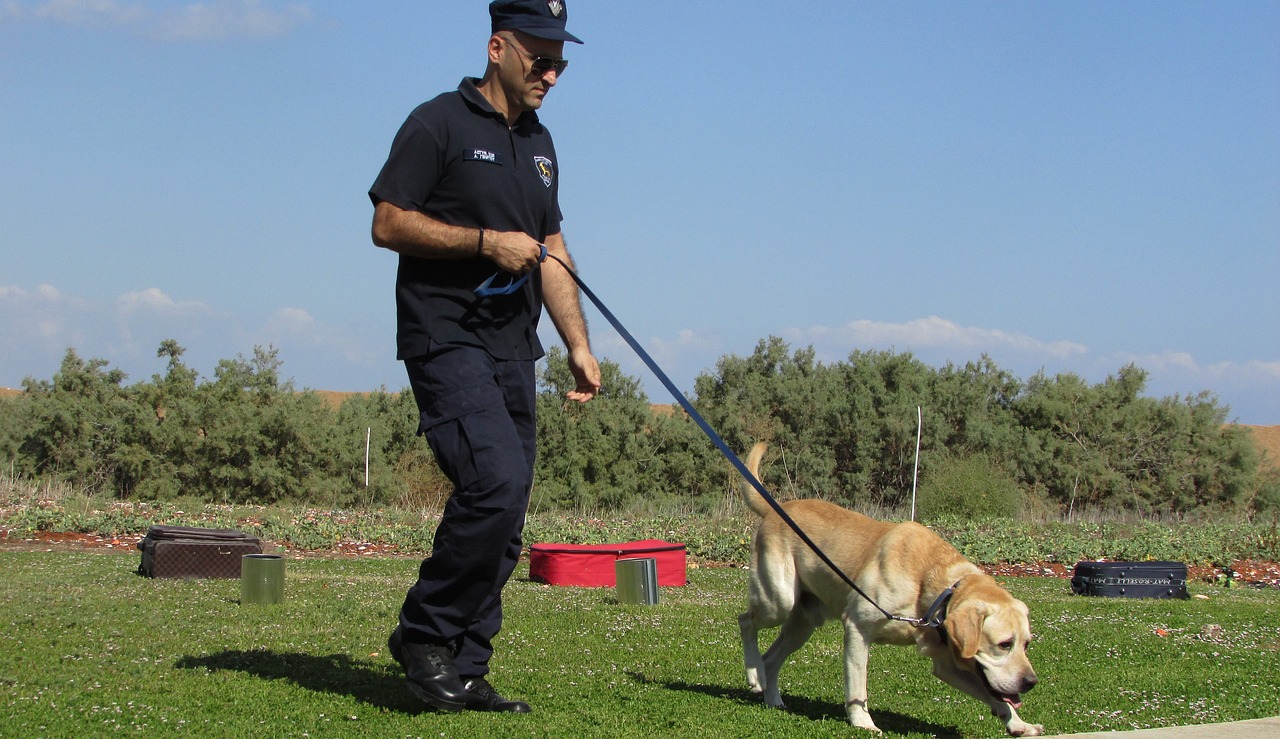 police and k9 dog on the field training