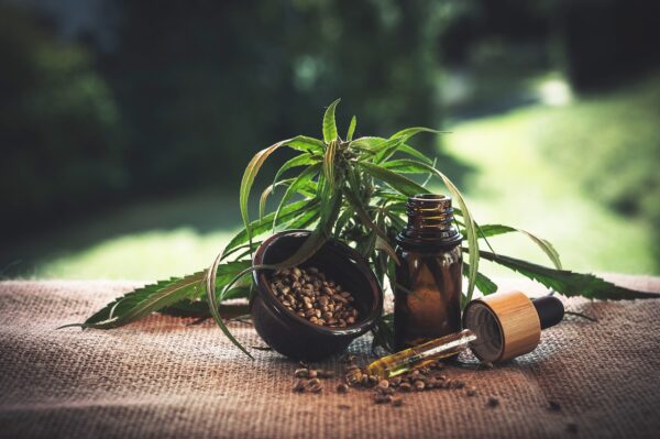 cbd oil and plant on a table