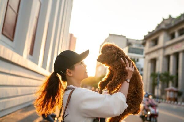 brown dog carried by owner in the city