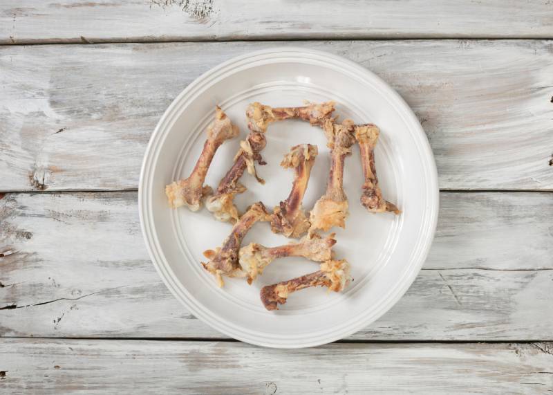 Closeup of leftover chicken bones on white plate