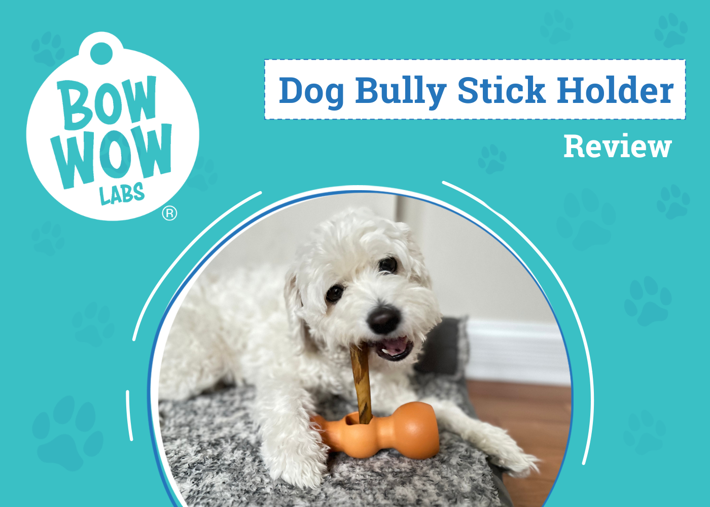 DOG_SAPR_Bow Wow Labs Dog Bully Stick Holder