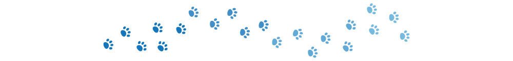 Dogster paw dividers