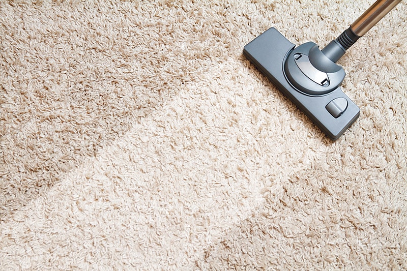 cleaning carpet with wet and dry vacuum