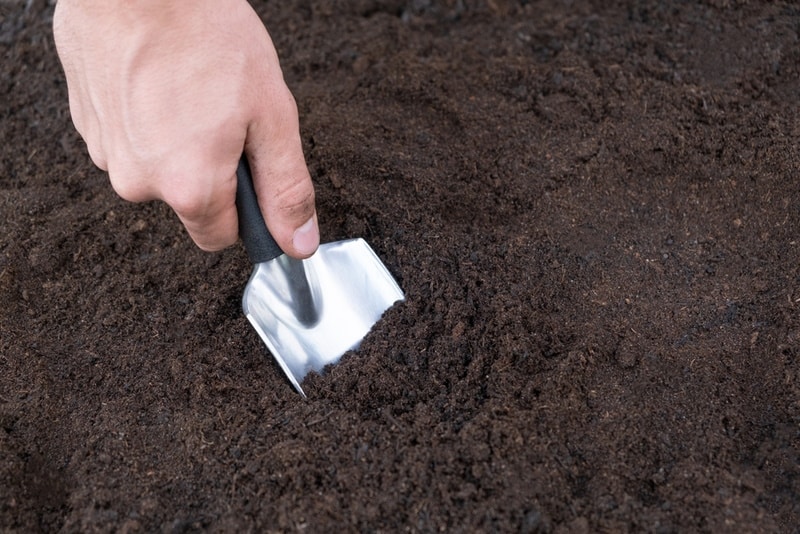 compost soil