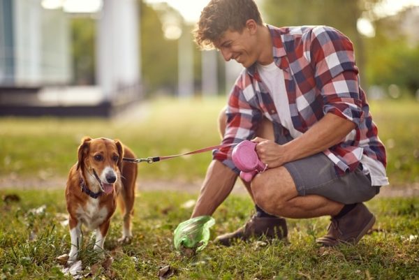 man picking up dog poop