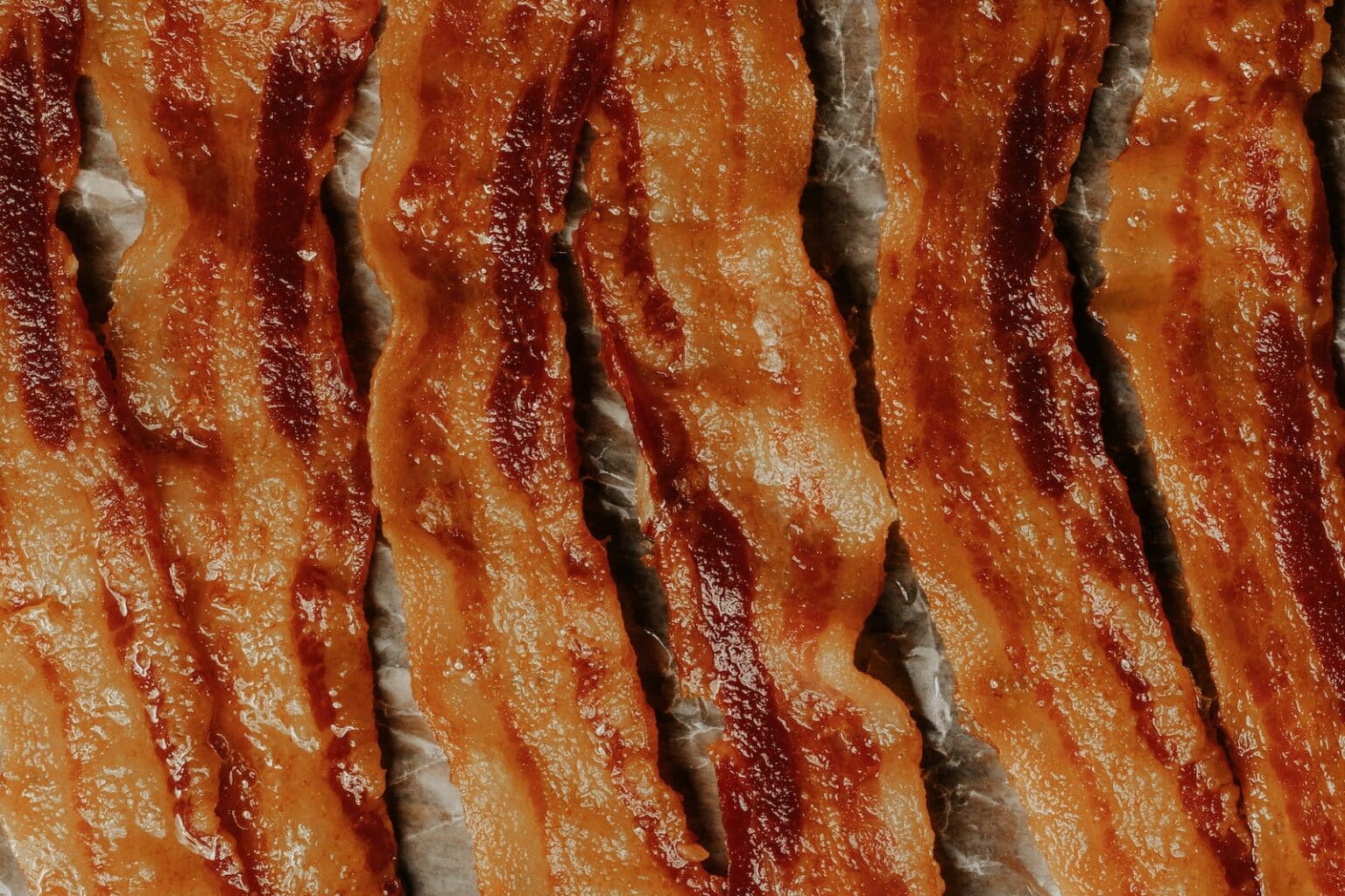 Can Dogs Eat Bacon? Health Facts & FAQ Dogster