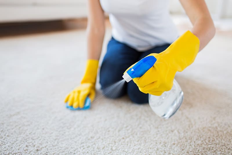 woman cleaning the carpet