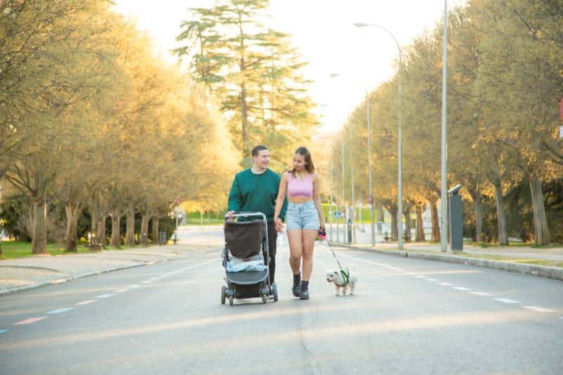 young loving couple holding hands walking along a road with their baby in the stroller and their dog