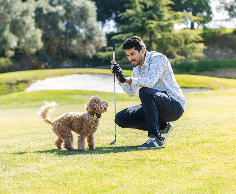 A young Caucasian male playing with his Goldendoodle dog on a professional golf course