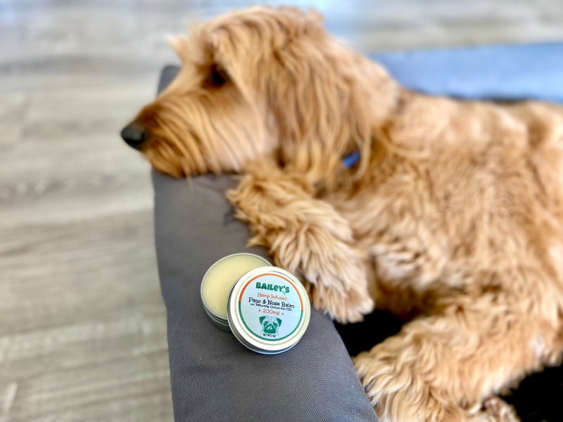 Bailey’s CBD Paw and Nose Balm - micah with open product on bed