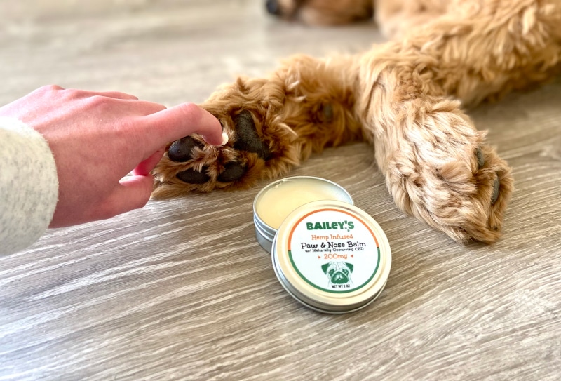 Bailey’s CBD Paw and Nose Balm - product applied to paw