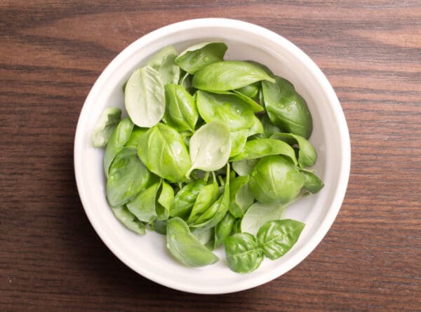 Bowl of basil on wooden background