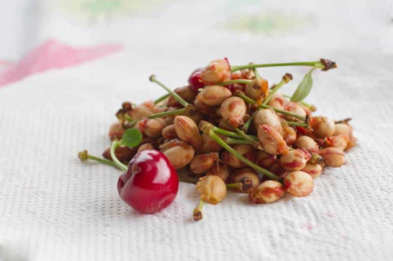 Bunch of cherry pits and tails on white paper towel and an isolated cherry