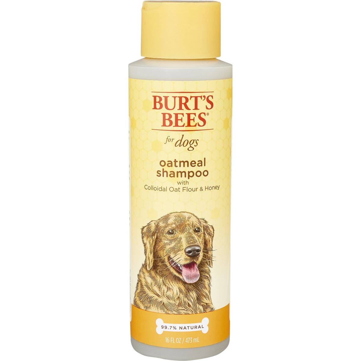 Burt's Bees Oatmeal with Colloidal Oat Flour & Honey Dog Shampoo