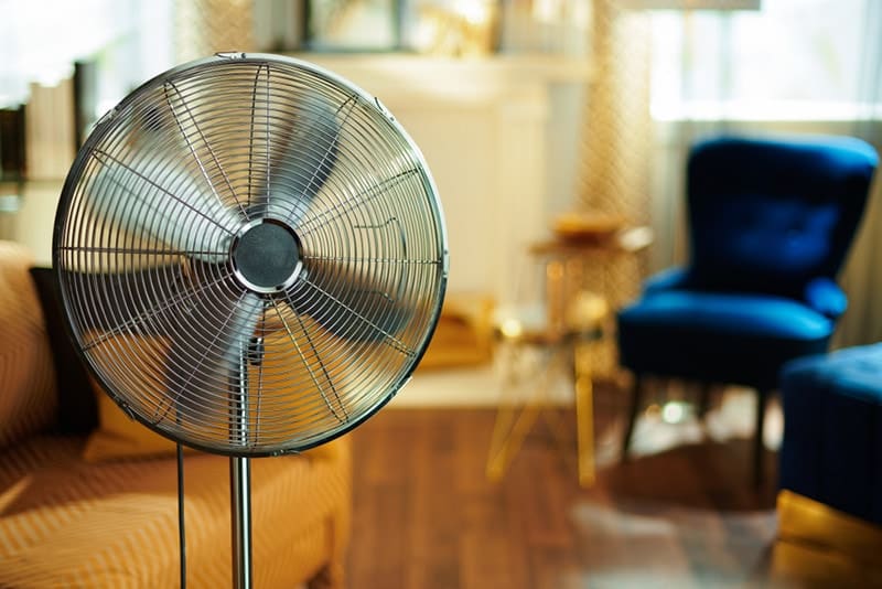 Closeup on working electric floor standing fan in the modern house in sunny hot summer day