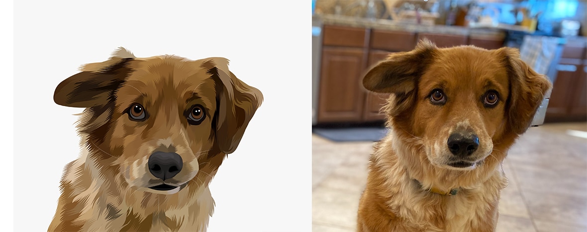 Crown & Paw Pet Portraits - portrait vs inspo