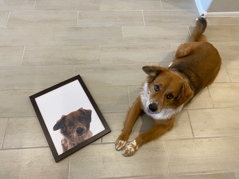 Crown & Paw Pet Portraits.jpg - halle lying next to her portrait