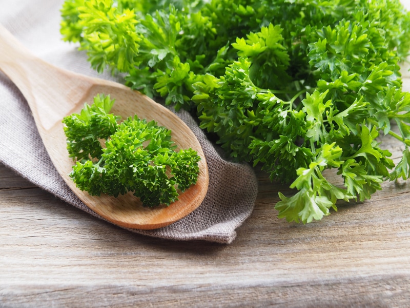 Curly parsley on a wooden spoon and table