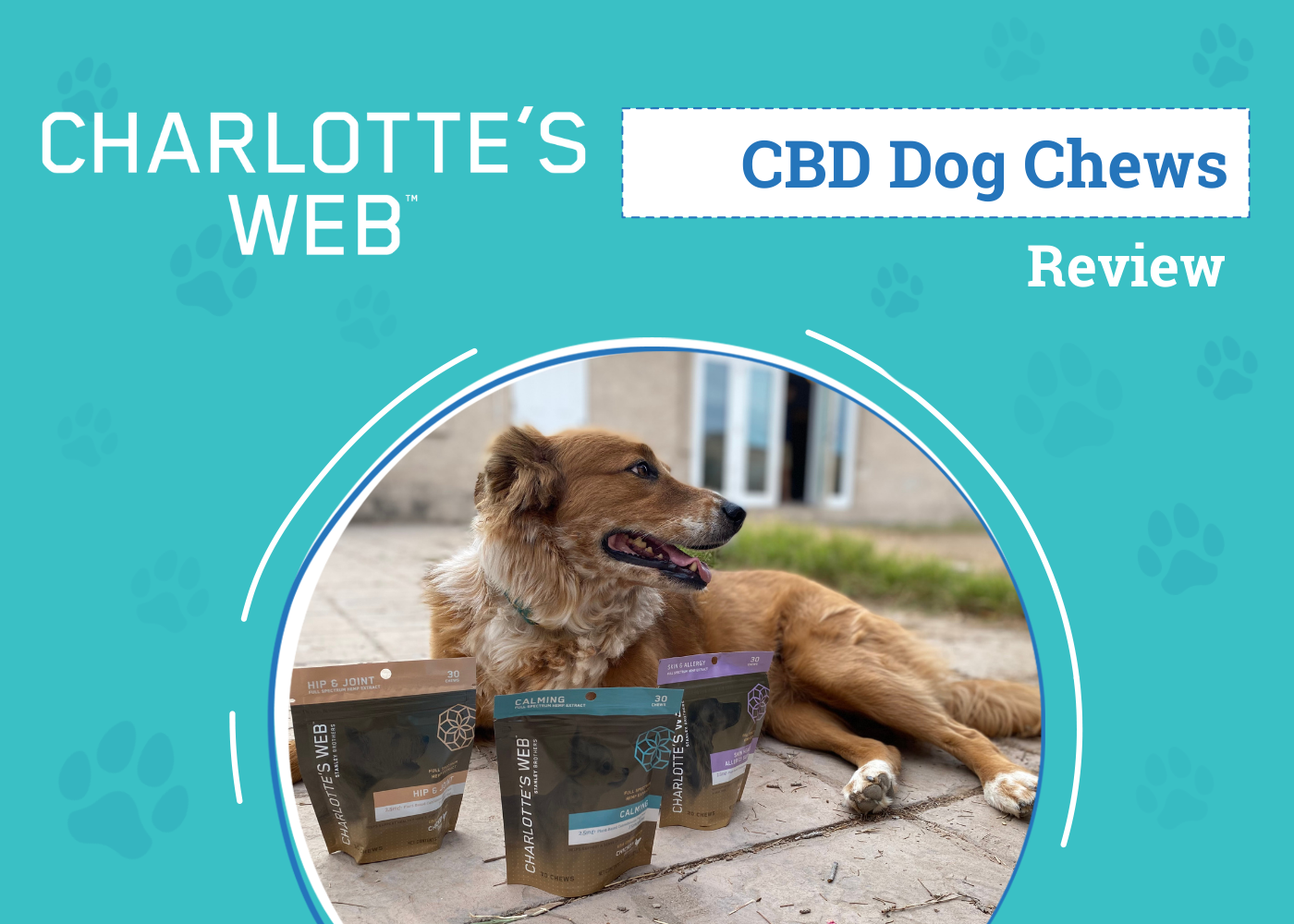 DOG_SAPR_Charlottes Web CBD Dog Chews