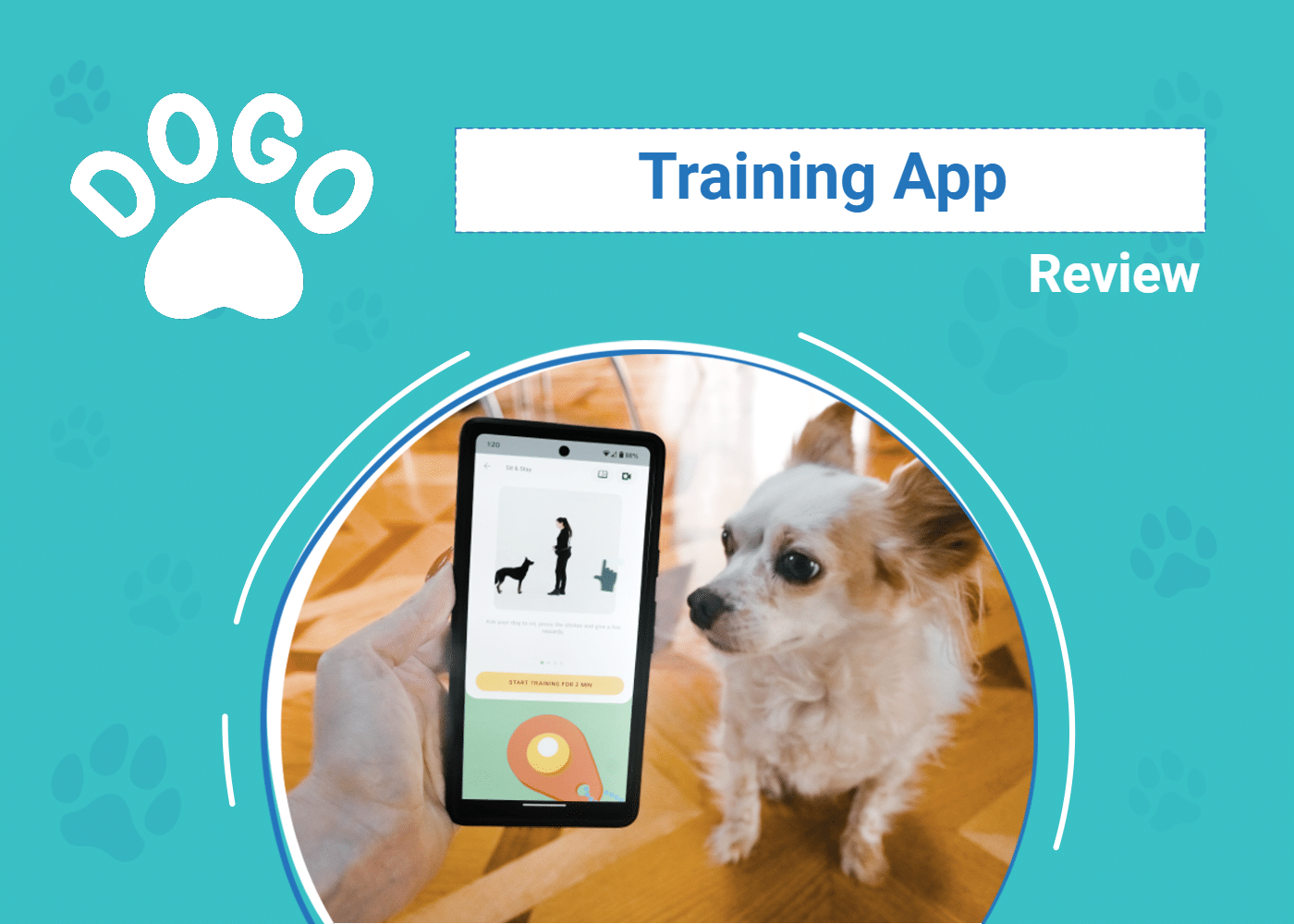 DOG_SAPR_Dogo Training App