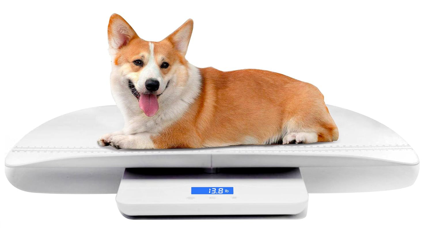 Digital Pet Scale, Baby Scale
