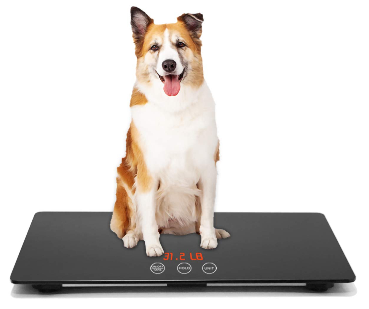 Digital Pet Scale for Dogs, Animal Scale Platform