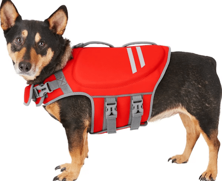 FRISCO Neoprene Dog Life Jacket