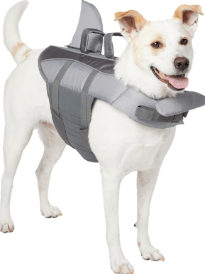 FRISCO Shark Dog Life Jacket