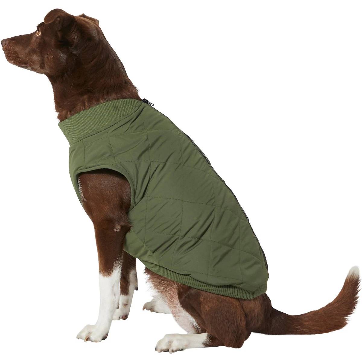 Frisco Lightweight Insulated Bomber Dog & Cat Jacket