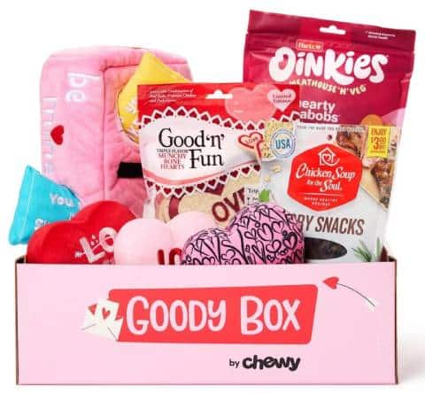 Goody Box Valentine's Dog Toys & Treats