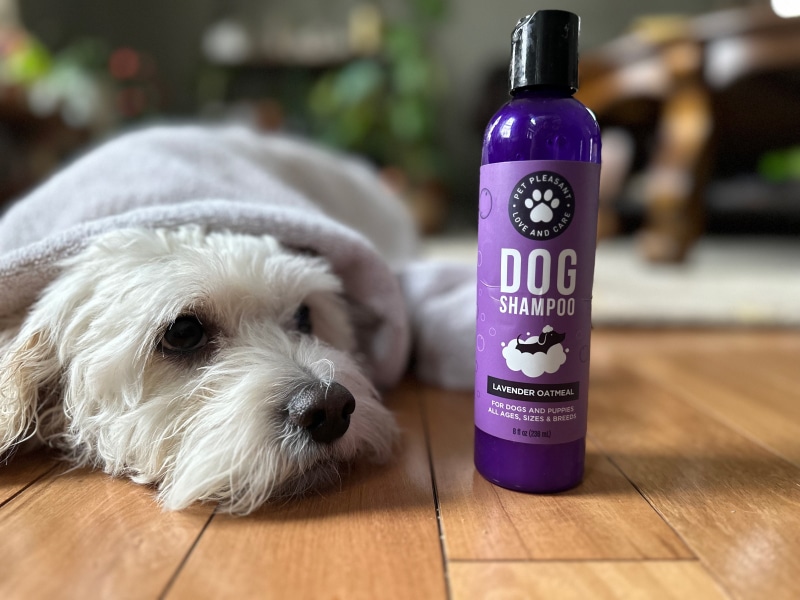 Honeydew Pet Shampoo & Spray Set - nora and dog shampoo