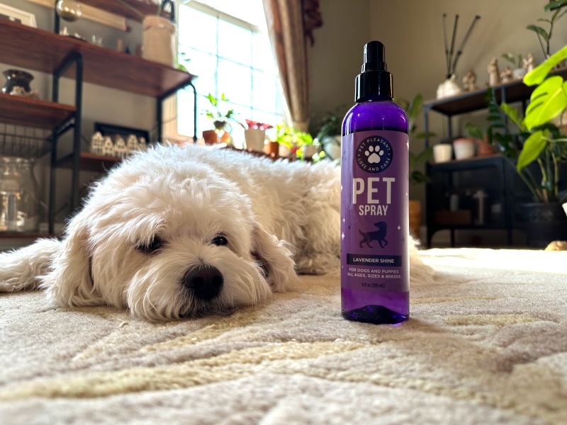 Honeydew Pet Shampoo & Spray Set - nora and pet spray