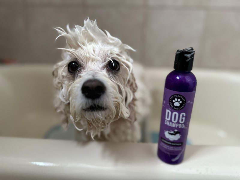 Honeydew Pet Shampoo & Spray Set - nora getting a bath