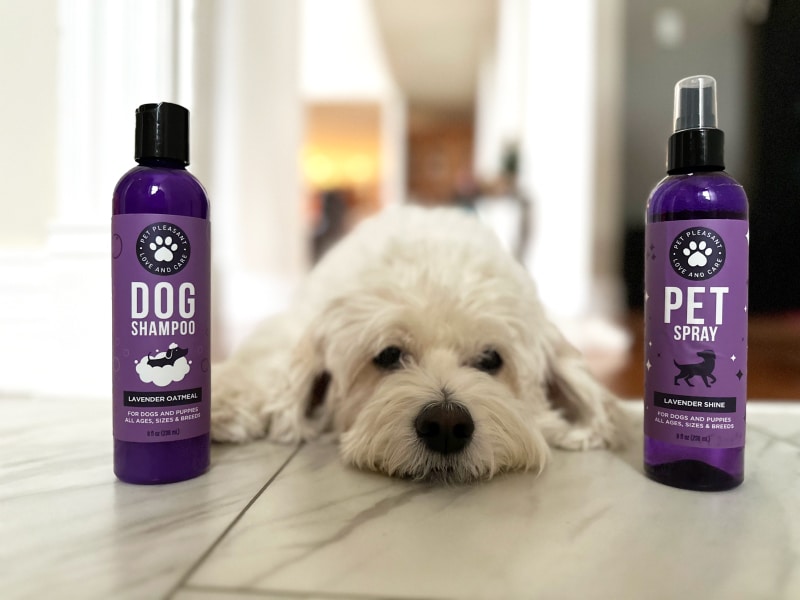 Honeydew Pet Shampoo & Spray Set - nora lying on the floor next to the products